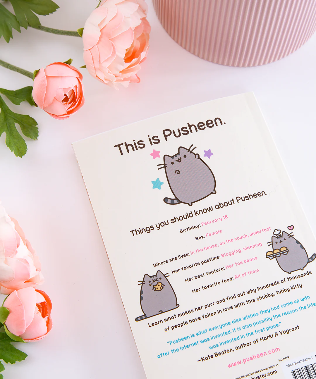 I Am Pusheen the Cat Paperback - Image 3